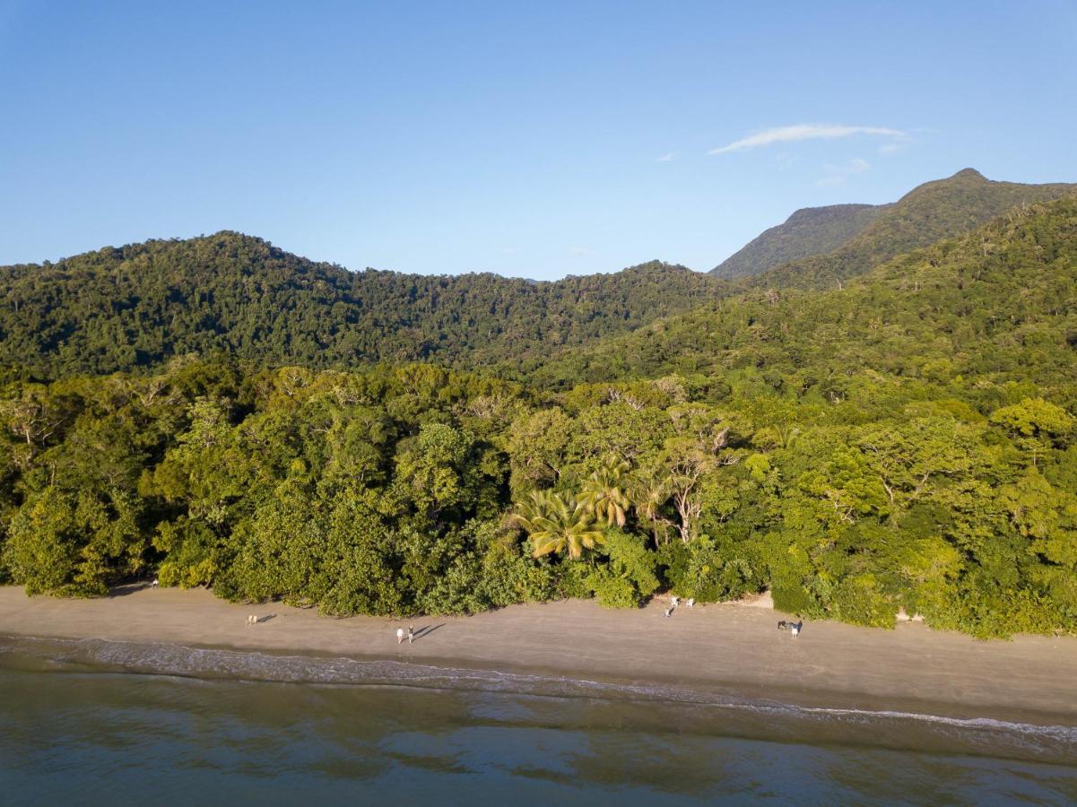Cape Trib Beach House Cape Tribulation Exterior photo