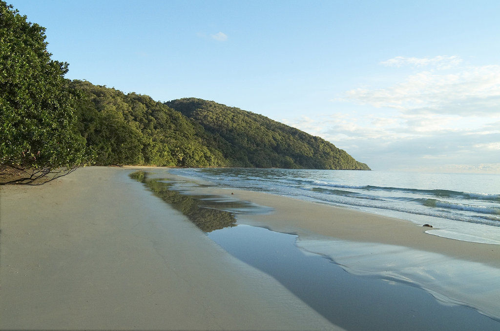 Cape Trib Beach House Cape Tribulation Exterior photo