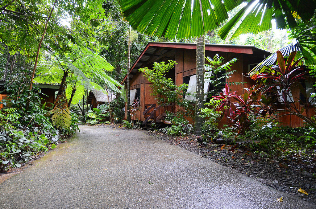 Cape Trib Beach House Cape Tribulation Exterior photo